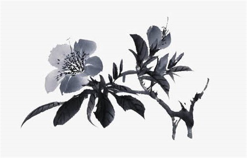 今天万年历2026年07月21日出门的好日子,出行吉日