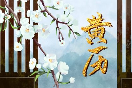 算命八字网精准解读你的命运密码