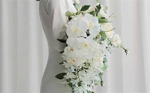 免费下载八字算命工具揭示命运奥秘