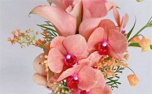 免费算命生辰八字测算_免费算命生辰八字测算星辰