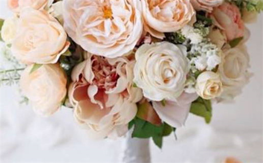 免费生辰八字算命指南揭示你的命运秘密