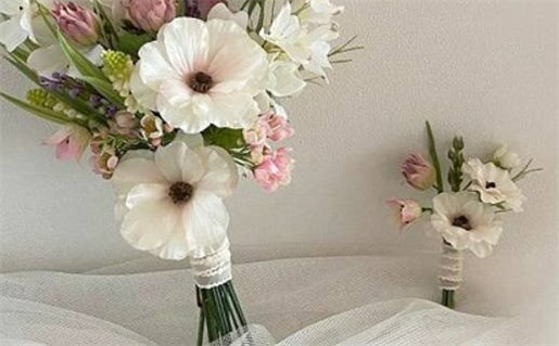 十二生肖鼠桃花运(十二生肖鼠桃花运势)