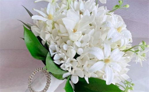 八字算命揭示你未来配偶的特征与运势