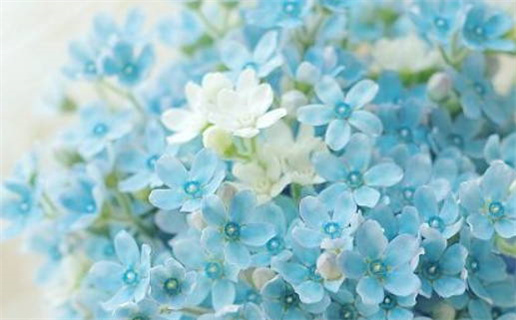 最准的八字算命网站推荐快速找到你的命理指南