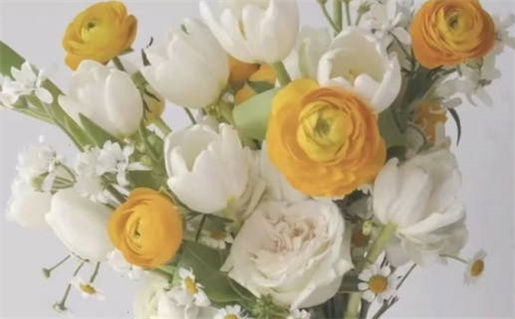 瓷都免费算命生辰八字解读助你洞察未来