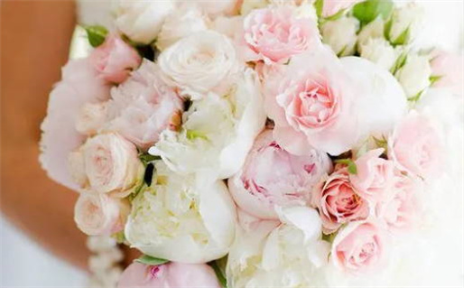 购车黄道吉日查询_购车黄道吉日查询2025年