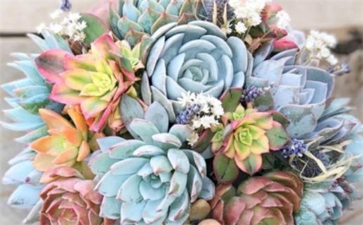 2024年6月开业黄道吉日查询指南