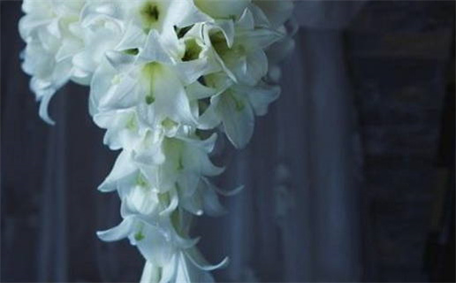 2023年8月开业黄道吉日查询最佳选择