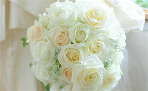 八字算命顺口溜大全轻松掌握命理奥秘