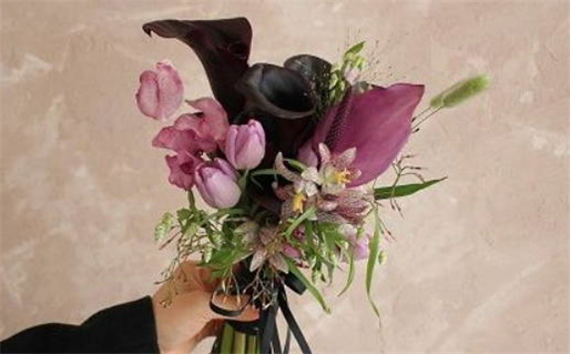 梅花易数姻缘解析助你找到真爱秘籍