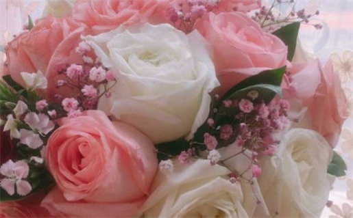 黄道吉日吉时查询化妆品(黄道吉日吉时查询查询)