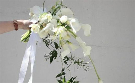 2019年黄道吉日吉时查询指南与最佳选择