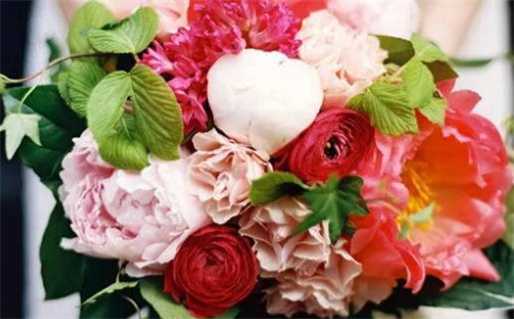 2019年10月黄道吉日婚嫁查询指南