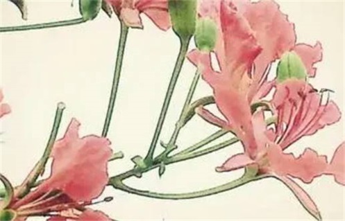 2026年04月18日动土黄历查询