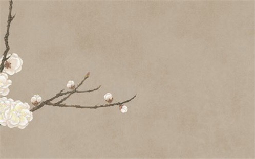 2026年8月8日动土宜忌分析：不宜动土的详细解读与建议