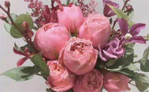 2026年10月26日结婚黄历查询