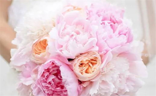 农历二〇二六年四月十七黄历不适合完婚吗,结婚好日子有哪些