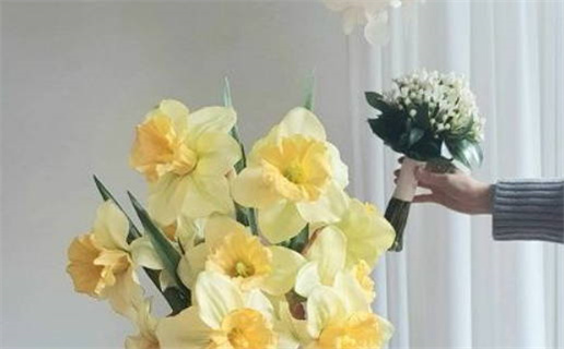 2027年04月29日领证黄历查询