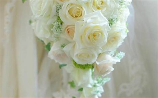 农历二〇二九年腊月初四黄历不适宜登记结婚吗,领证好日子查询