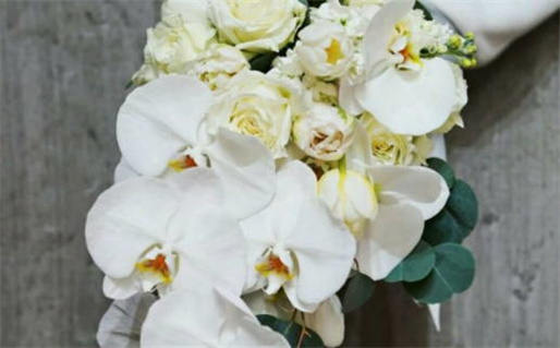 2026年07月01日领证黄历查询