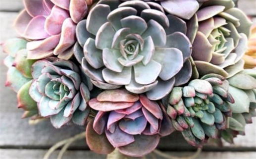 今天万年历2026年12月07日领结婚证吉日,领证好日子查询