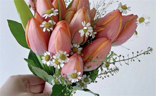 农历二〇二七年正月初十黄历乔迁不适宜吗,乔迁吉日查询