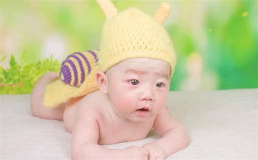 5个杨姓书香气质的男生名字推荐，附五行分析