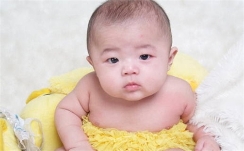 杨姓女孩子取名