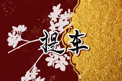 2026年07月08日不适宜提取爱车吗,提车吉日查询