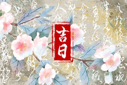 2032年11月4日提车指南：适宜与不宜事项全解析