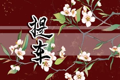 2032年12月08日老黄历适合提取爱车吗
