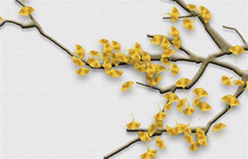 2026年09月08日不适宜装修吗,这天装修合适吗